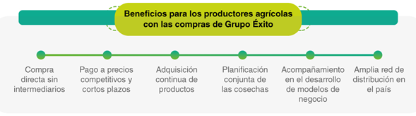 Grupo Éxito 