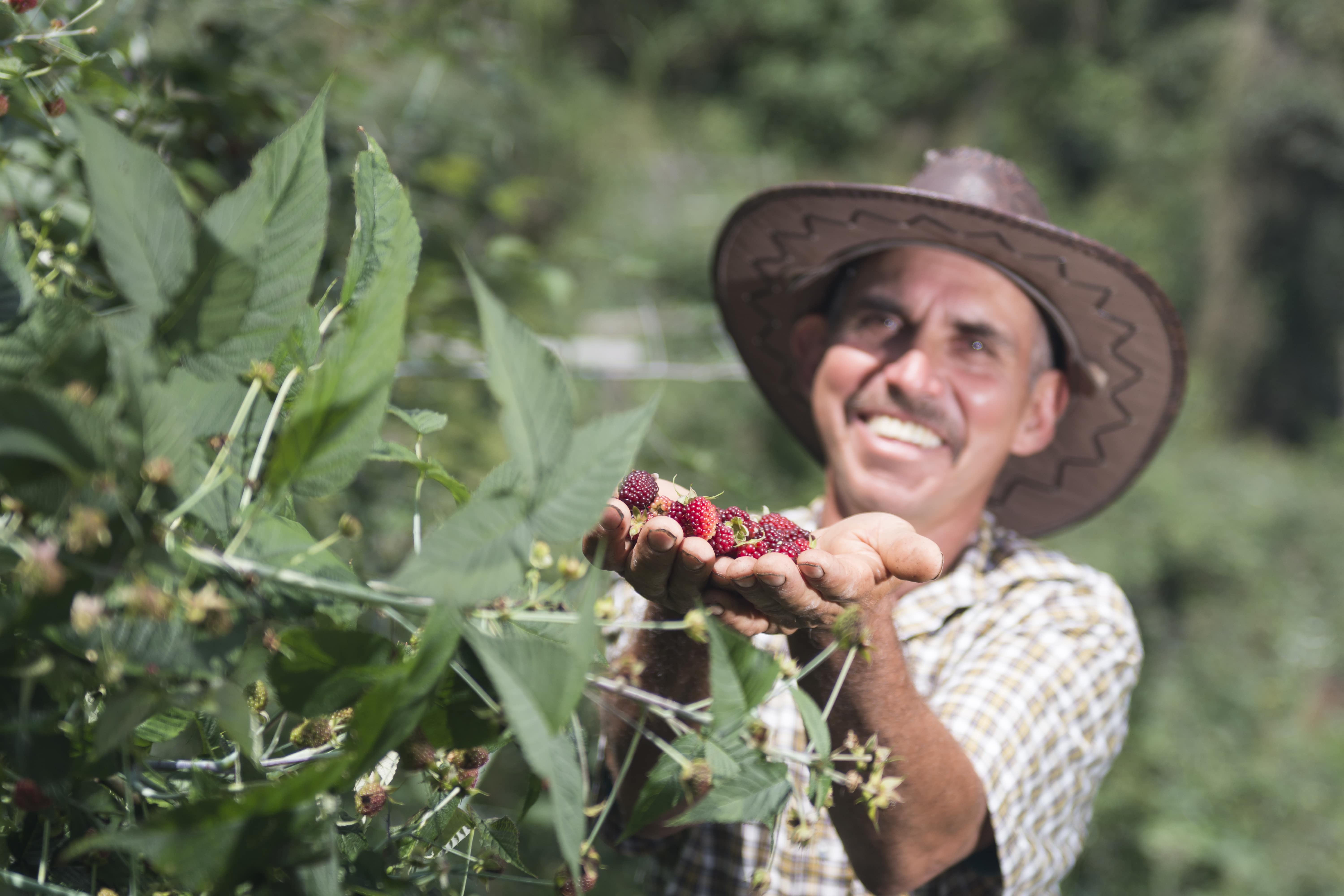 En 1997 decidimos que los agricultores locales fueran nuestros proveedores de fruta para la producción de bebidas como Hit y Tutti Frutti.