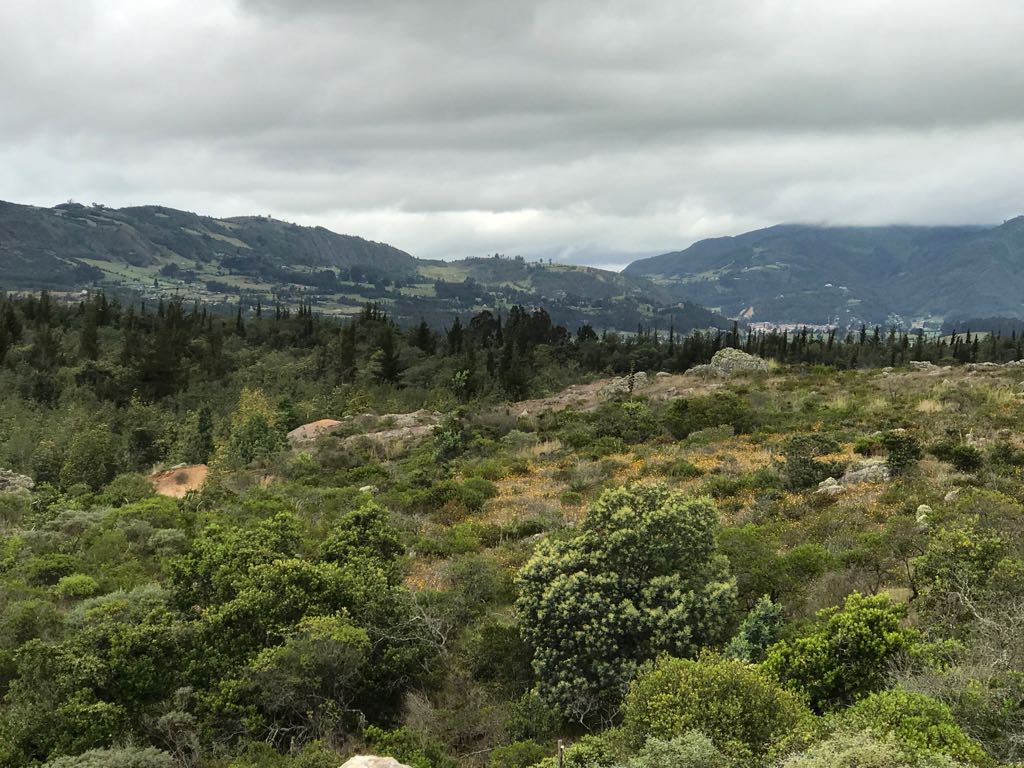 Corona sabe que para construir un mejor país es importante cuidar el medio ambiente, por eso cuenta con cuatro reservas naturales de la sociedad civil con una extensión de más de 74 hectáreas dedicadas a la conservación de flora y fauna en diferentes regiones del país.