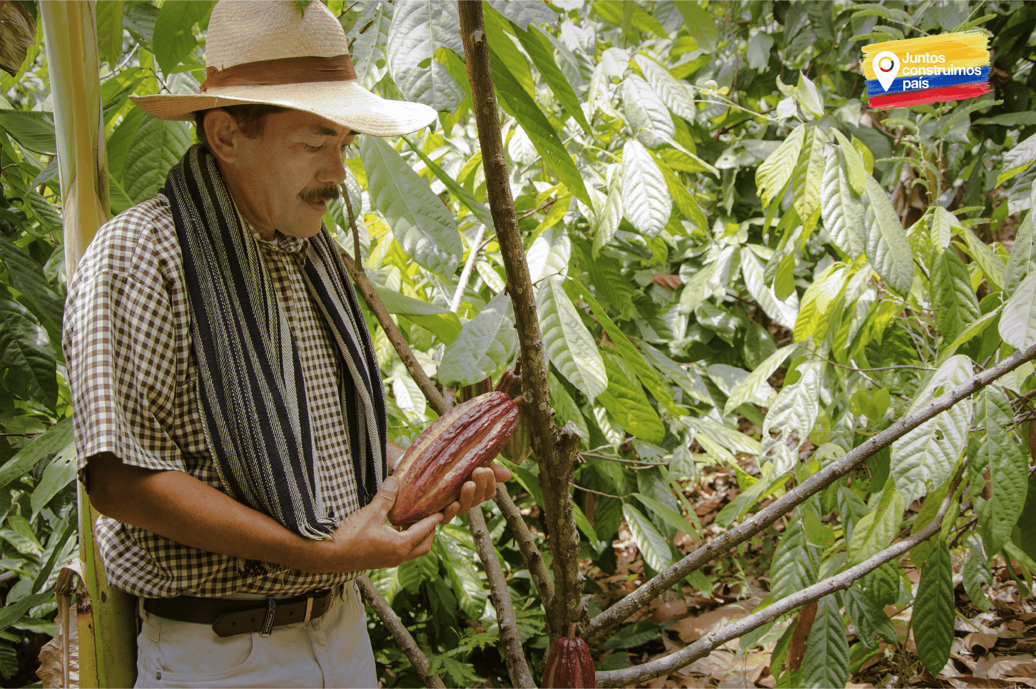 Se puede vivir cultivando setas