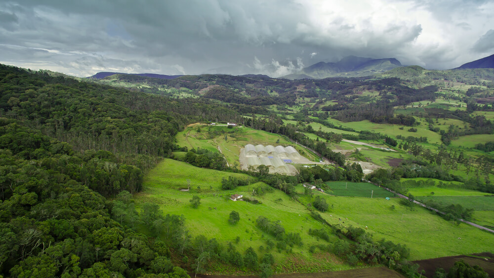 Corona sabe que para construir un mejor país es importante cuidar el medio ambiente, por eso cuenta con cuatro reservas naturales de la sociedad civil con una extensión de más de 74 hectáreas dedicadas a la conservación de flora y fauna en diferentes regiones del país.