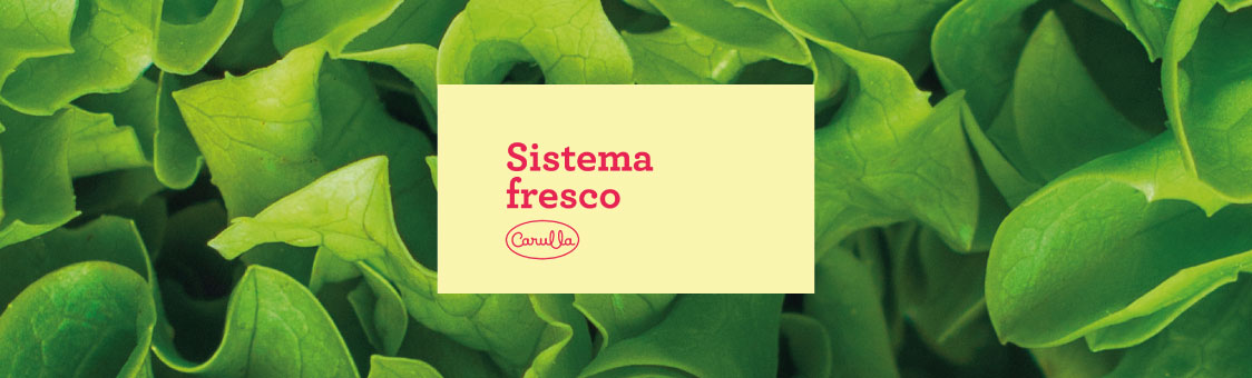 Carulla presenta Sistema Fresco: un sistema para conservar las frutas y verduras en el hogar por más tiempo evitando el desperdicio de alimentos