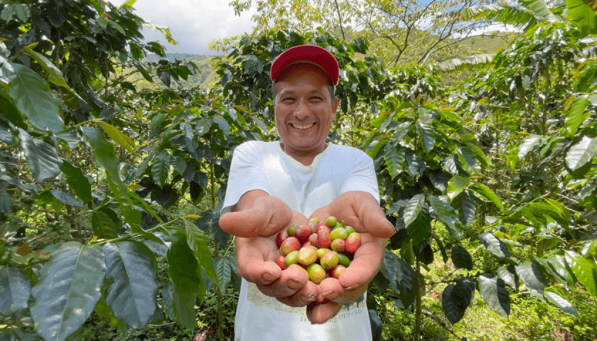 Foto de hombre sonriendo levantando frutos con sus manos