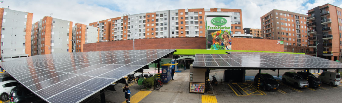 Sostenibilidad en Grupo Éxito: generando oportunidades en Colombia a través de la innovación 