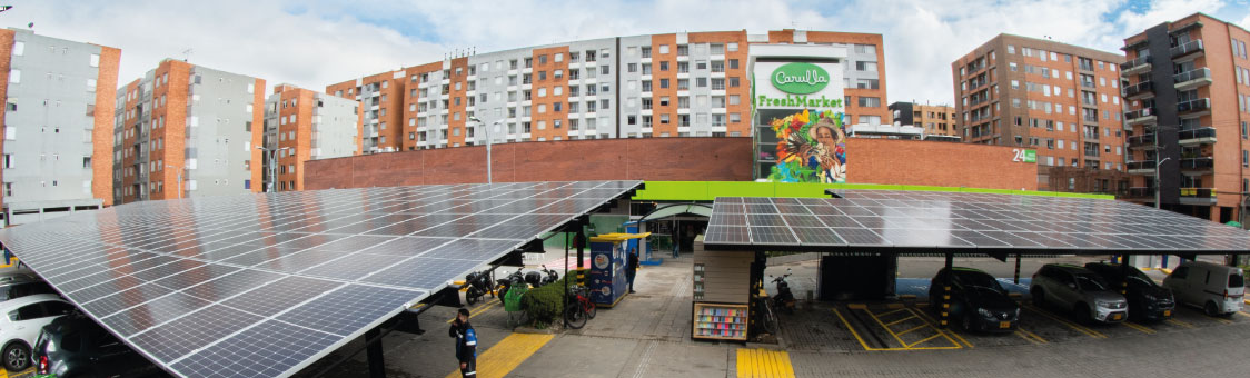 Sostenibilidad en Grupo Éxito: generando oportunidades en Colombia a través de la innovación