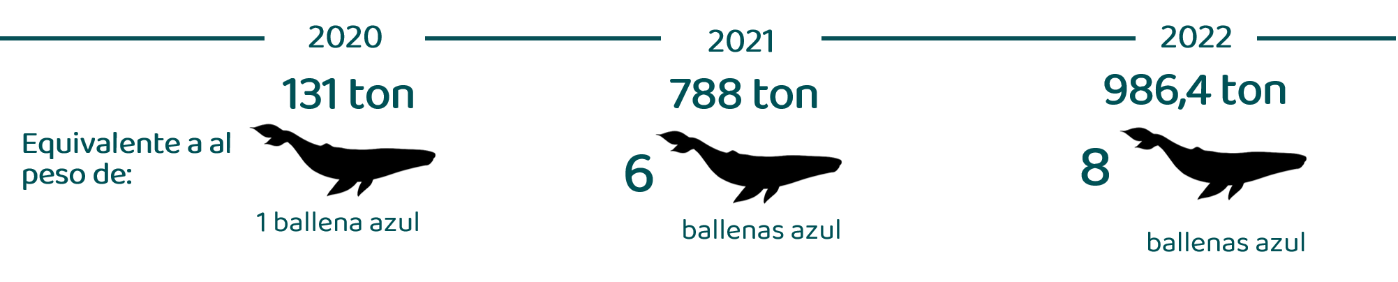 ballenas