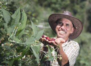 En 1997 decidimos que los agricultores locales fueran nuestros proveedores de fruta para la producción de bebidas como Hit y Tutti Frutti.